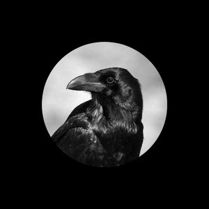 东北熟妇15分钟高潮嗷嗷叫
